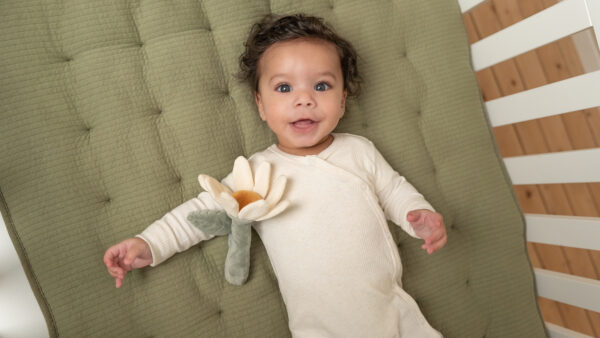 Rattle Flower Little Farm